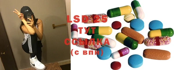 ГАЛЛЮЦИНОГЕННЫЕ ГРИБЫ Няндома