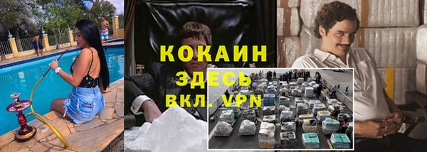 ГАЛЛЮЦИНОГЕННЫЕ ГРИБЫ Няндома