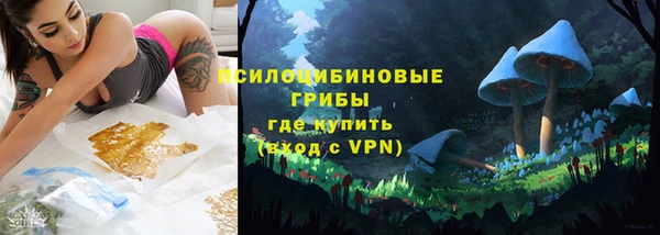 гидропоника Осинники