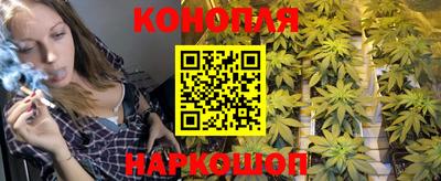 сатива Гусев