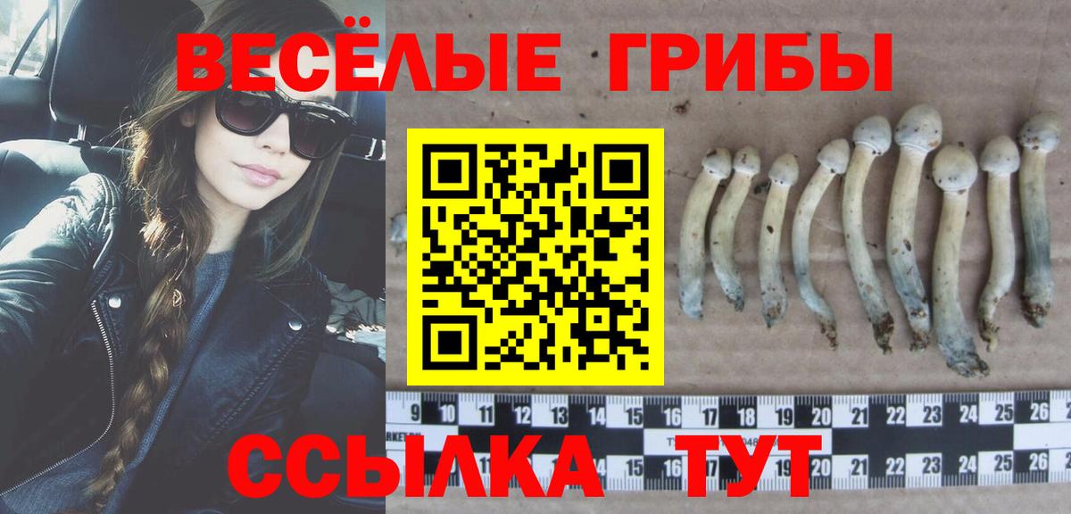 купить закладку  Вход с VPN  Калуга  Галлюциногенные грибы прущие грибы 