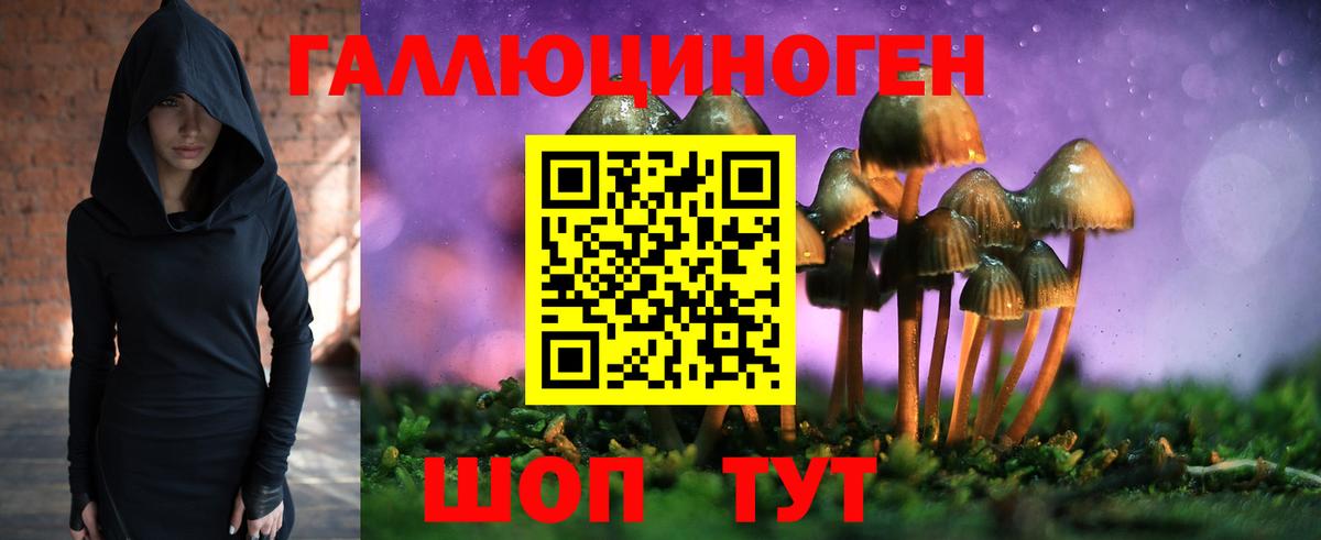 Псилоцибиновые грибы Psilocybine cubensis  Псилоцибиновые грибы Magic Shrooms  Калуга 