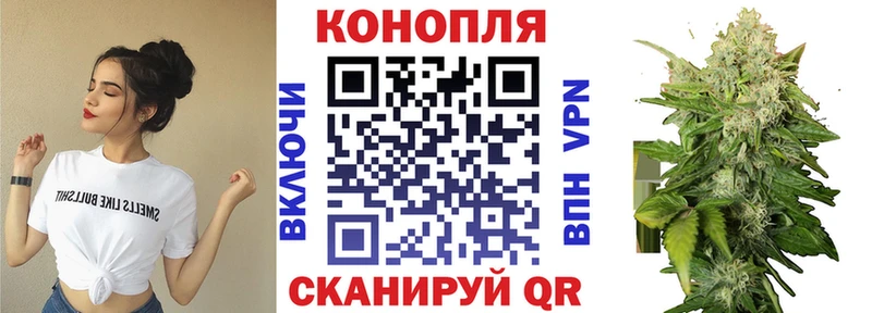 Конопля White Widow купить наркотик Калуга